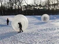 Zorbing Ball Russia