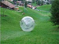 Experiencing Zorbing