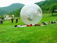 Inflatable Grass Zorb Ball Human Sized Hamster Ball Land Ball