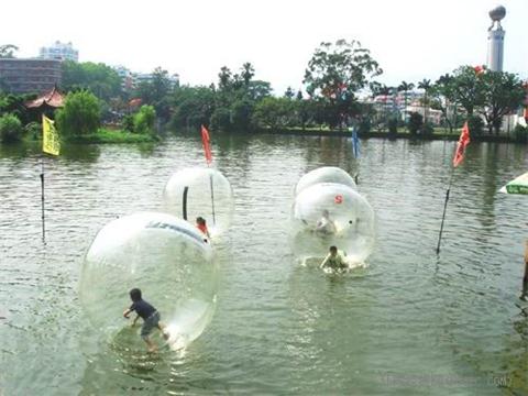 Water Walking Ball