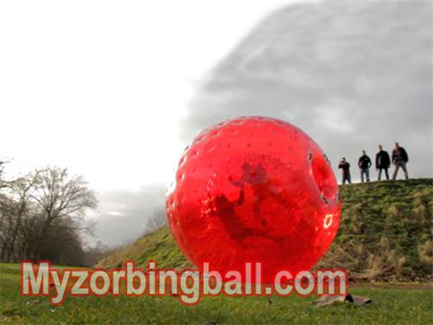 Full Color Zorb Ball