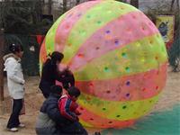 Multi Colors Zorb Ball Inflatable Body Zorb Ball for kids