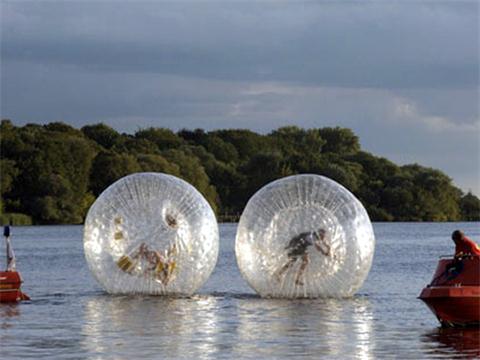 Transparent Zorb Ball