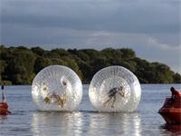 Transparent Aqua Zorb Ball