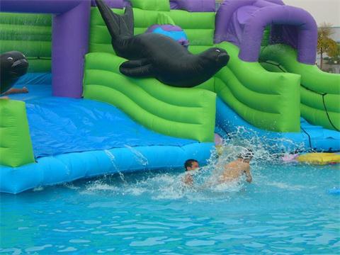     Inflatable Dolphin Slide